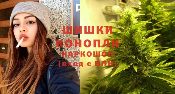 гидра Арсеньев