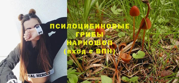стафф Аркадак